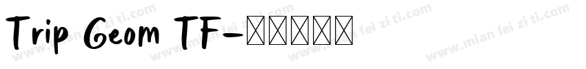 Trip Geom TF字体转换